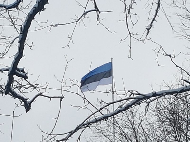 20190206_154503.jpg