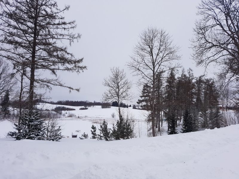 20190207_084022.jpg